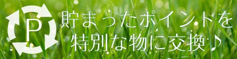 ポイント交換